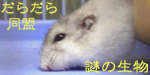 炾瓯B